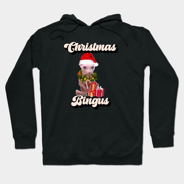 Christmas Bingus Meme - Funny Beloved Bingus Cat Design Hoodie by TheMemeCrafts